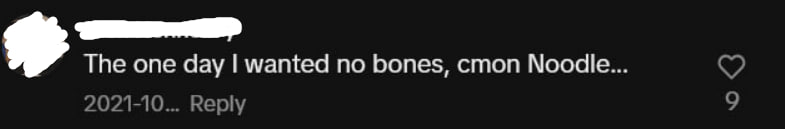 A TikTok comment that says: c'mon noodle, the one day I wanted no bones